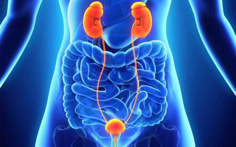 uro-oncologia